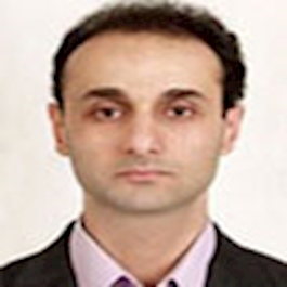 محمد حسین  حافظیان