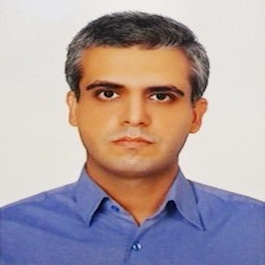 سید حامد حسینی