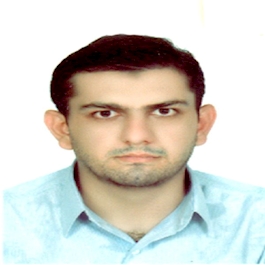 سید رامین  البرزی